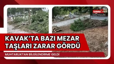 Kavak’ta Mezarlıkta Budama Çalışması: Bazı Mezar Taşları Zarar Gördü!