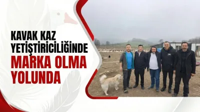 Kavak Kaz Yetiştiriciliğinde Marka Olma Yolunda