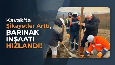 Kavak'ta Şikayetler Arttı, Barınak İnşaatı Hızlandı!