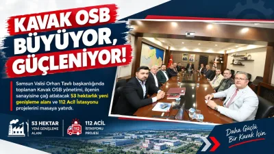 Kavak OSB'de Dev Adımlar: Vali Tavlı Başkanlığında Kritik Yatırım Zirvesi