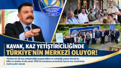 Kavak'ta Bilimsel Üretim Dönemi: Kaz Yetiştiriciliğinde Türkiye'ye Örnek Olacağız